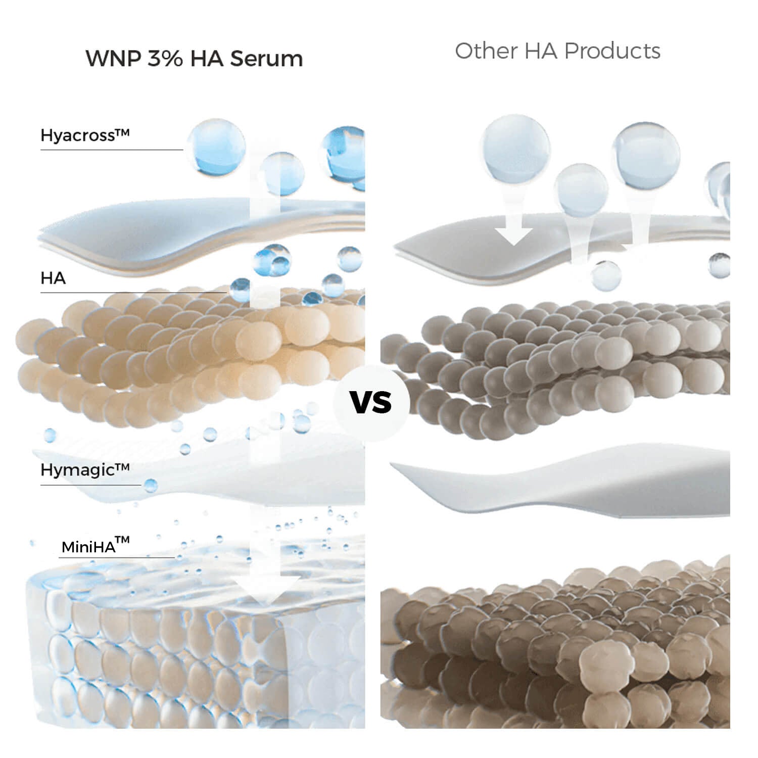 Comparison of WNP 3% HA Serum with other HA products using visual elements.