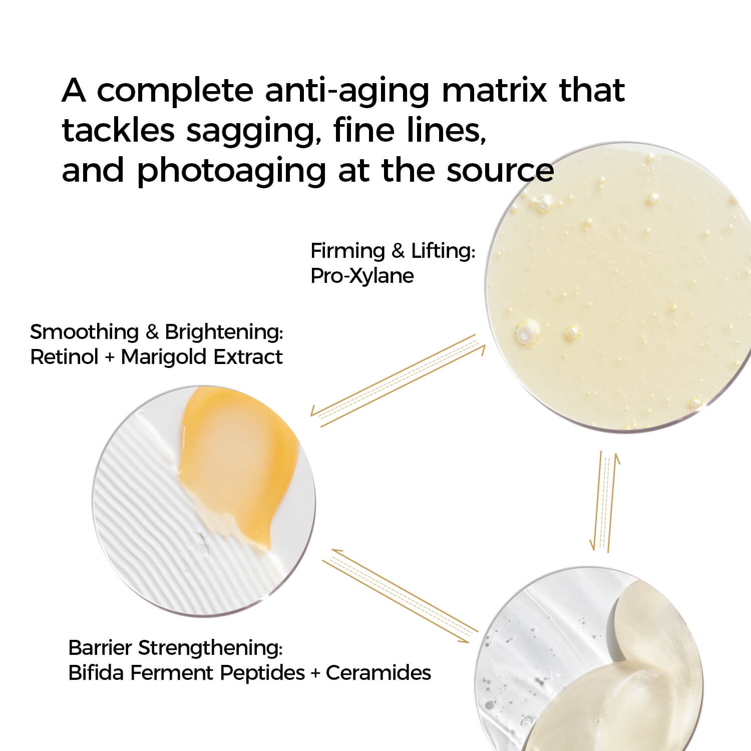 Anti-aging skincare product with labeled components on a white background